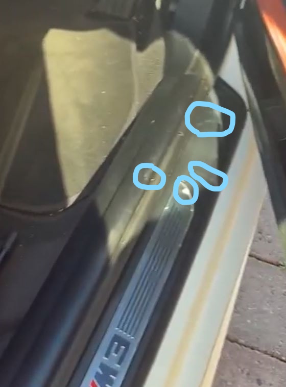 Door Entry Sill Scuff - advertised car